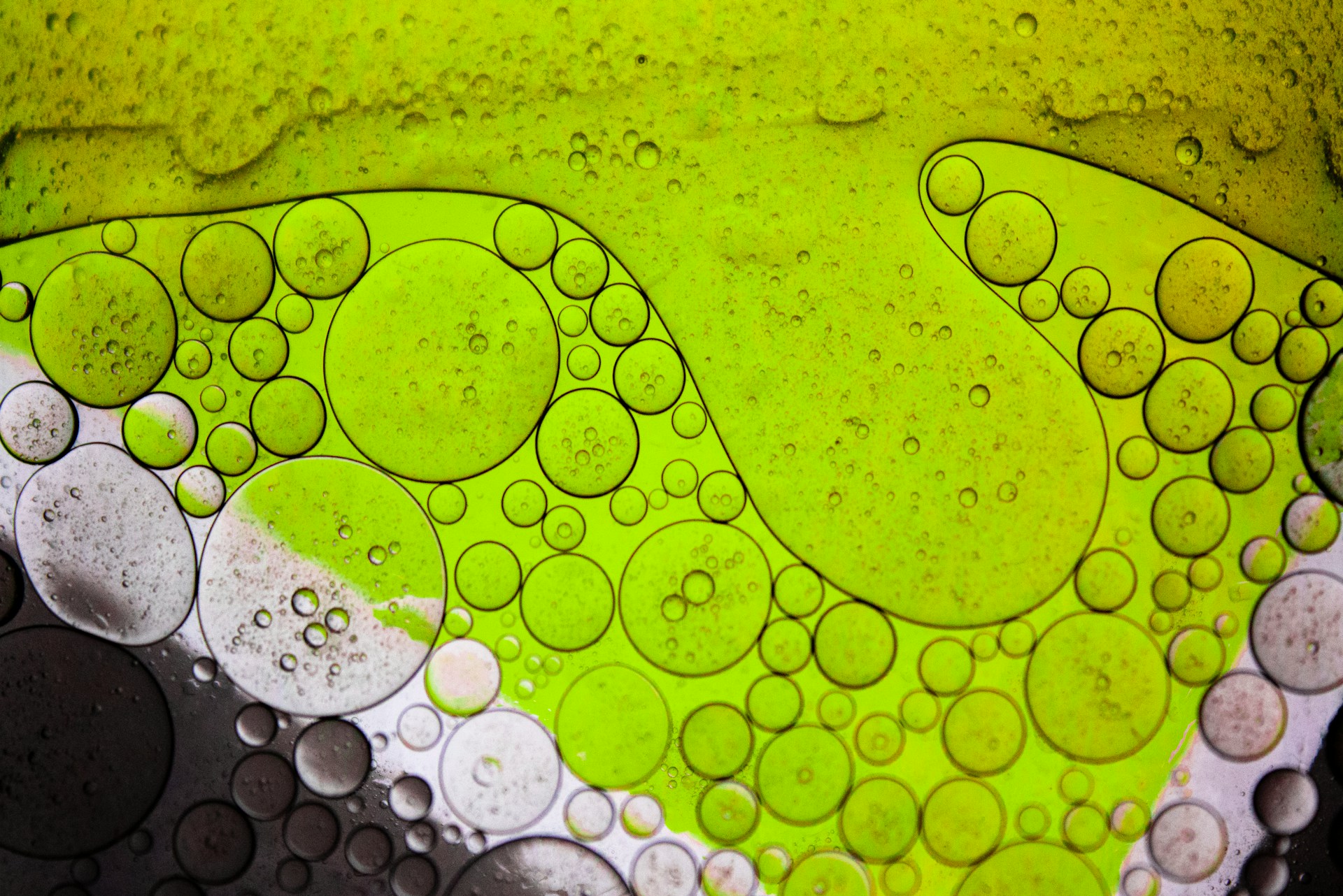 Photographie macro de microbulles vertes et ambrées
