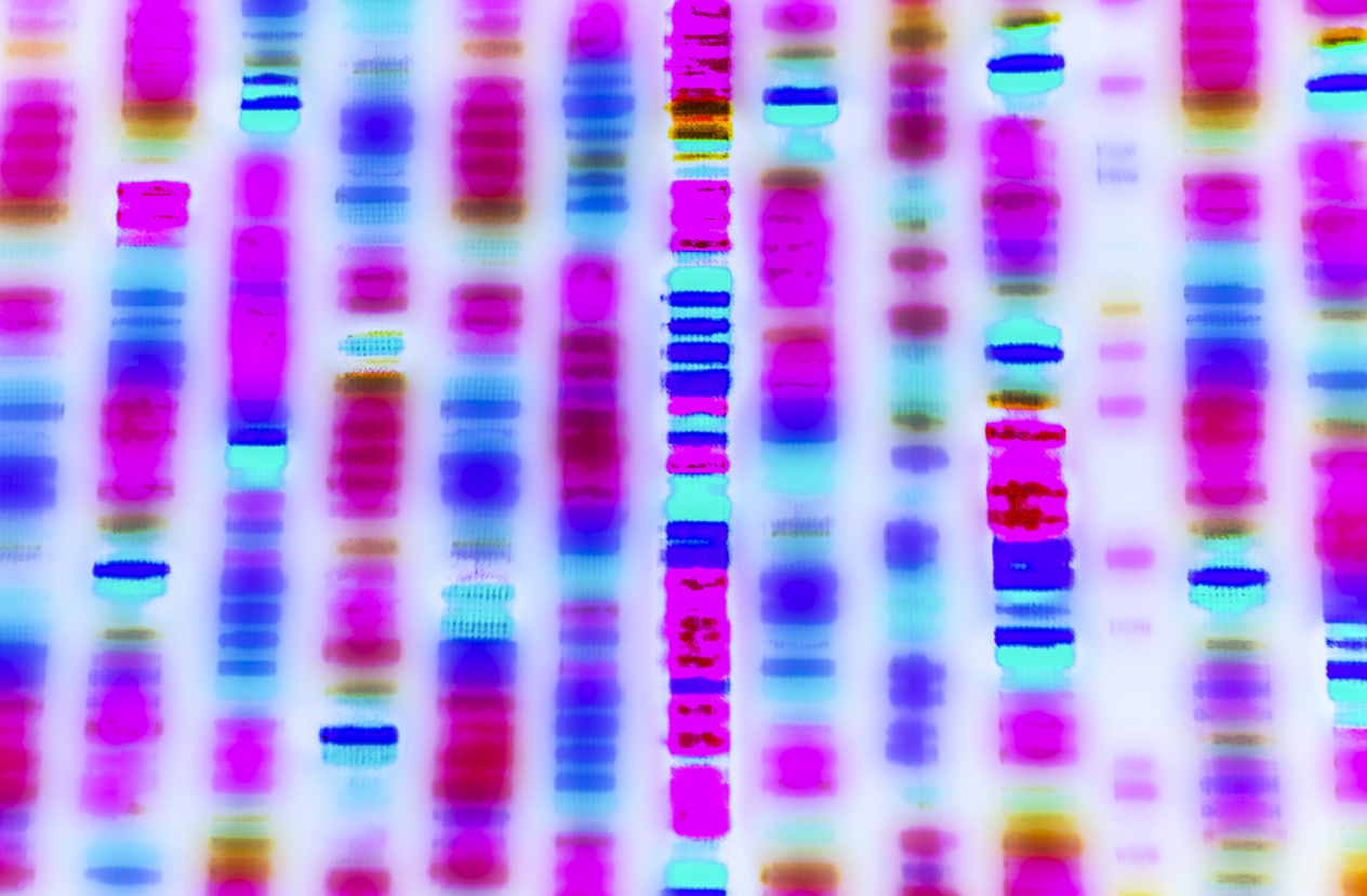 Motif coloré abstrait rappelant un résultat d'électrophorèse sur gel d'ADN